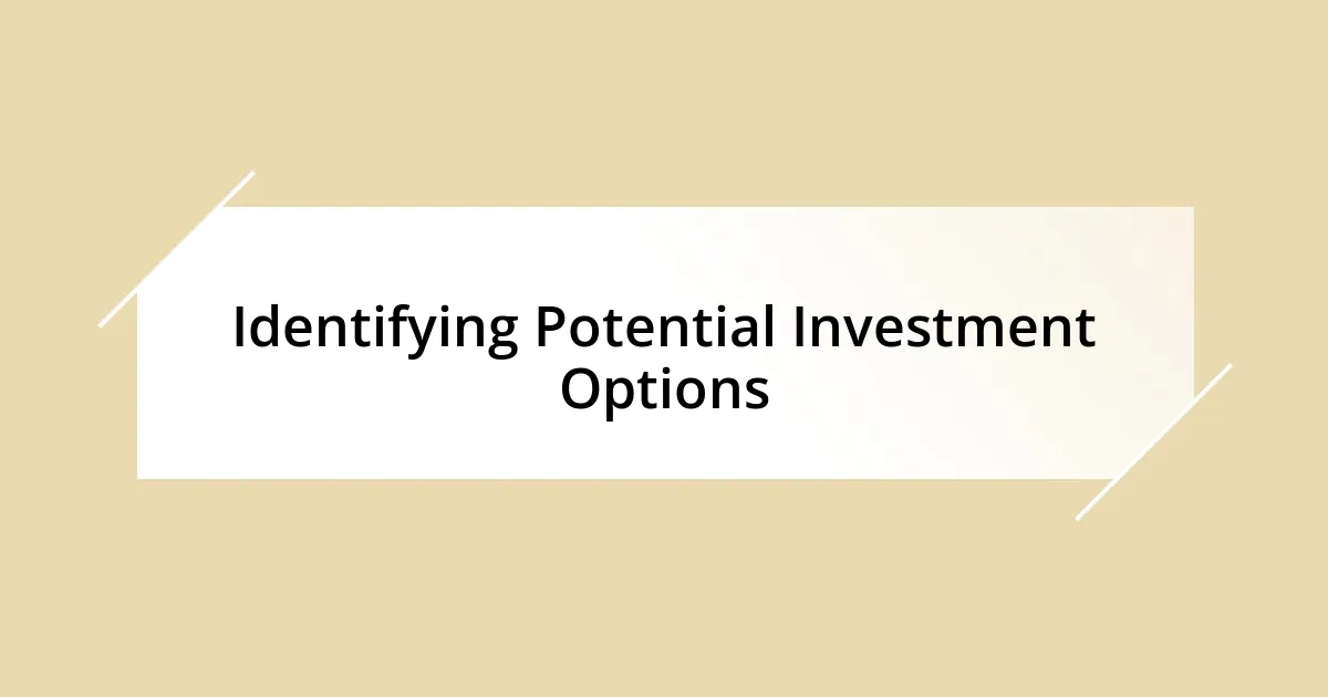 Identifying Potential Investment Options