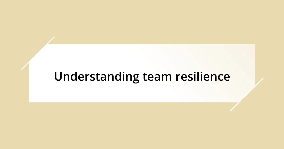 Understanding team resilience