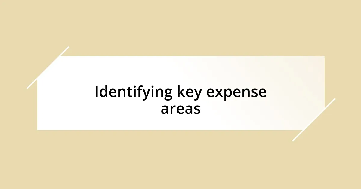 Identifying key expense areas