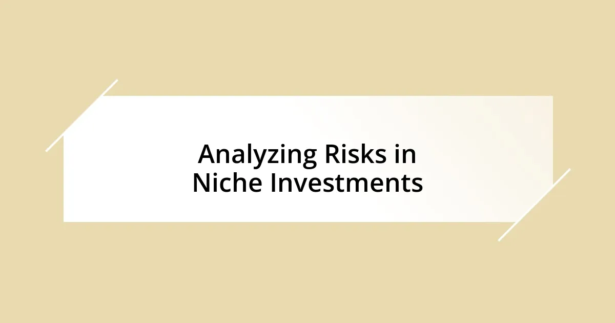 Analyzing Risks in Niche Investments