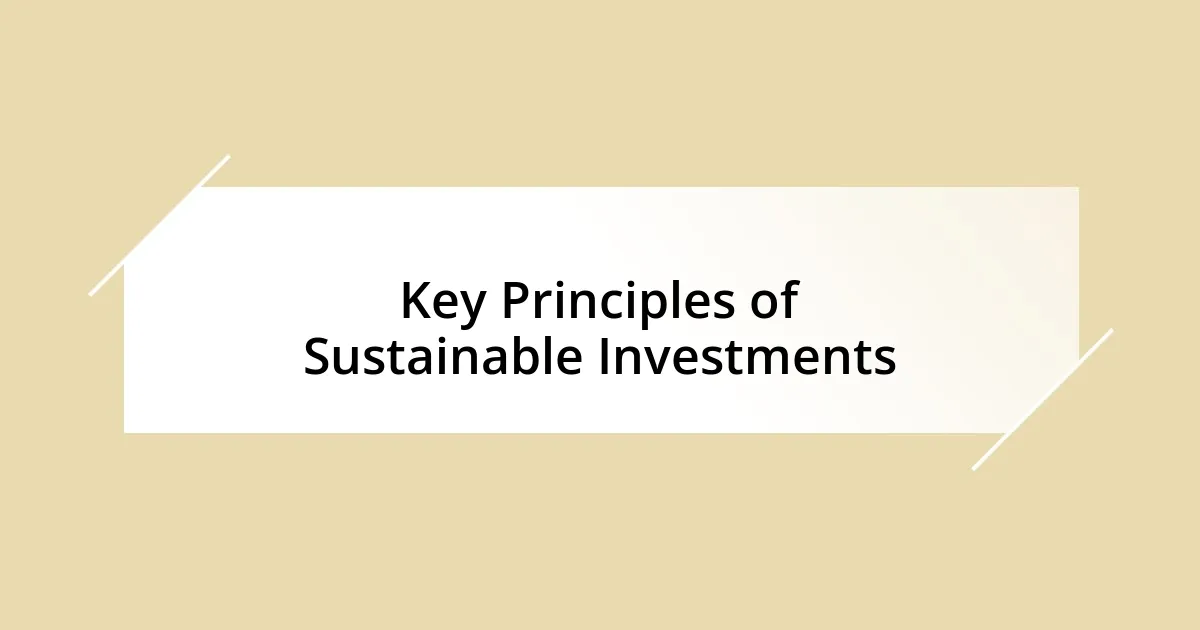 Key Principles of Sustainable Investments