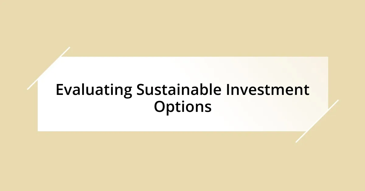 Evaluating Sustainable Investment Options