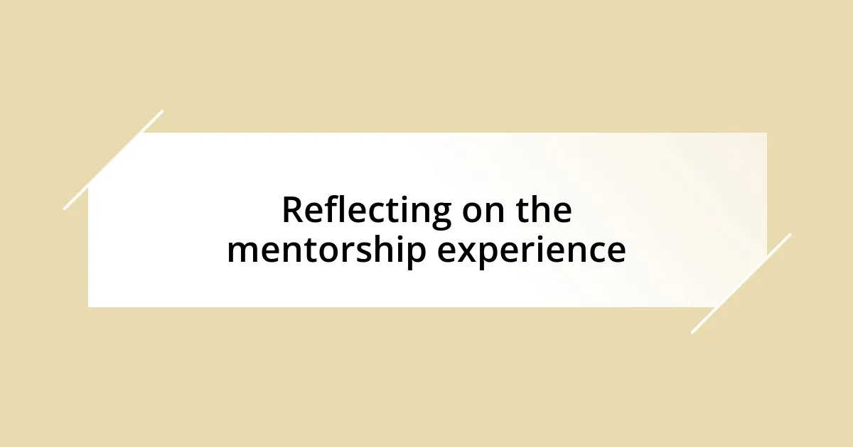 Reflecting on the mentorship experience