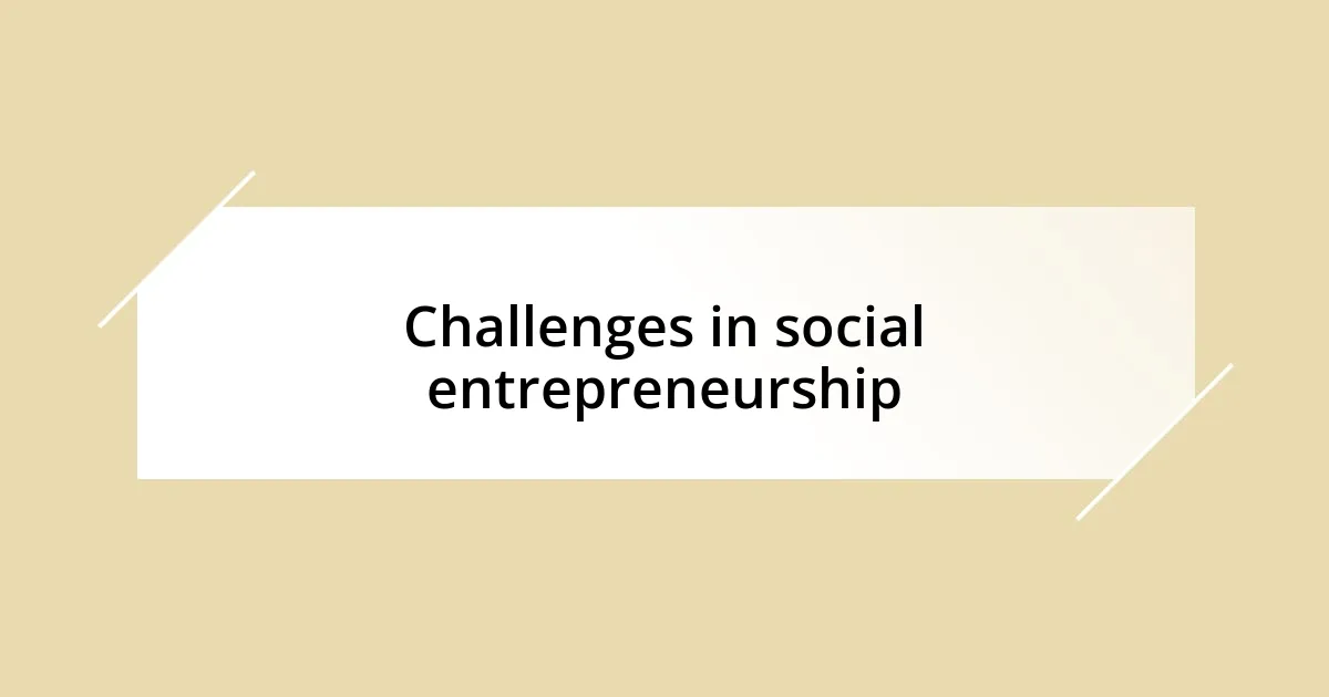 Challenges in social entrepreneurship