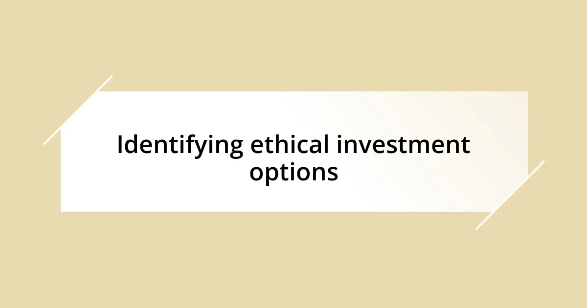 Identifying ethical investment options