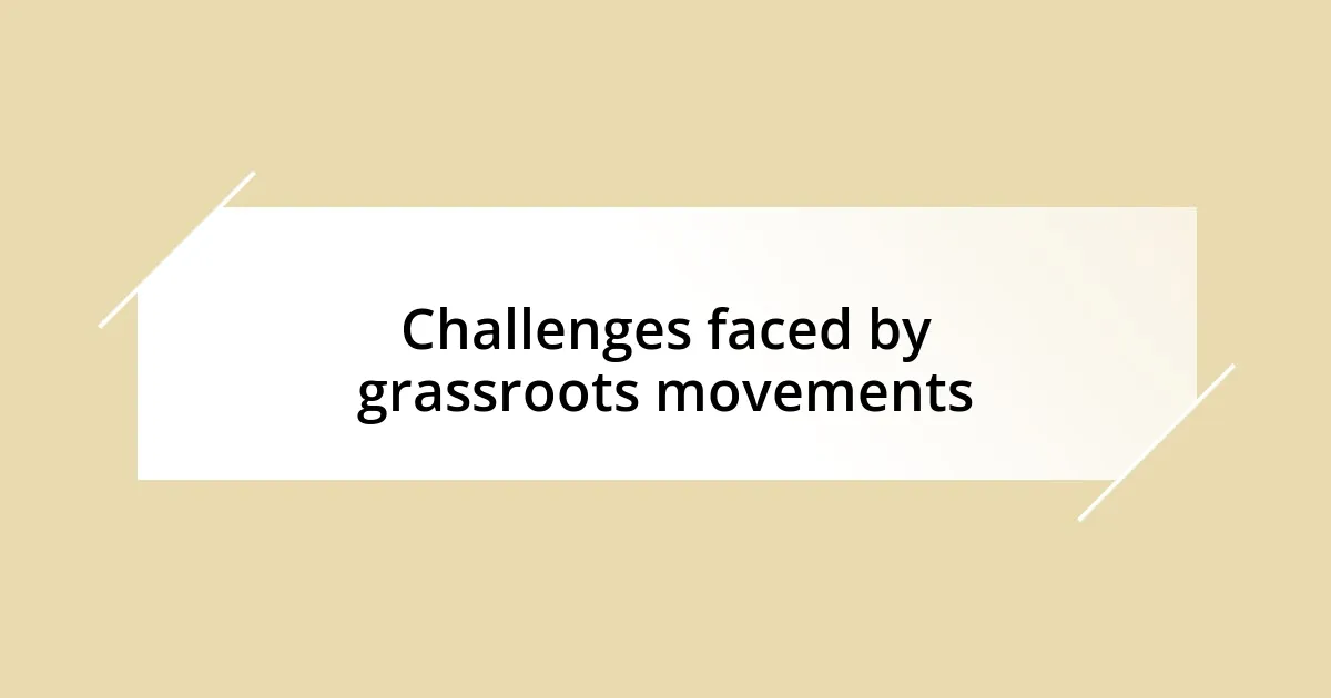 Challenges faced by grassroots movements