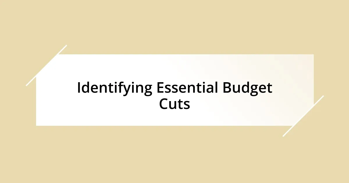 Identifying Essential Budget Cuts